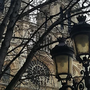 Read more about the article Paris