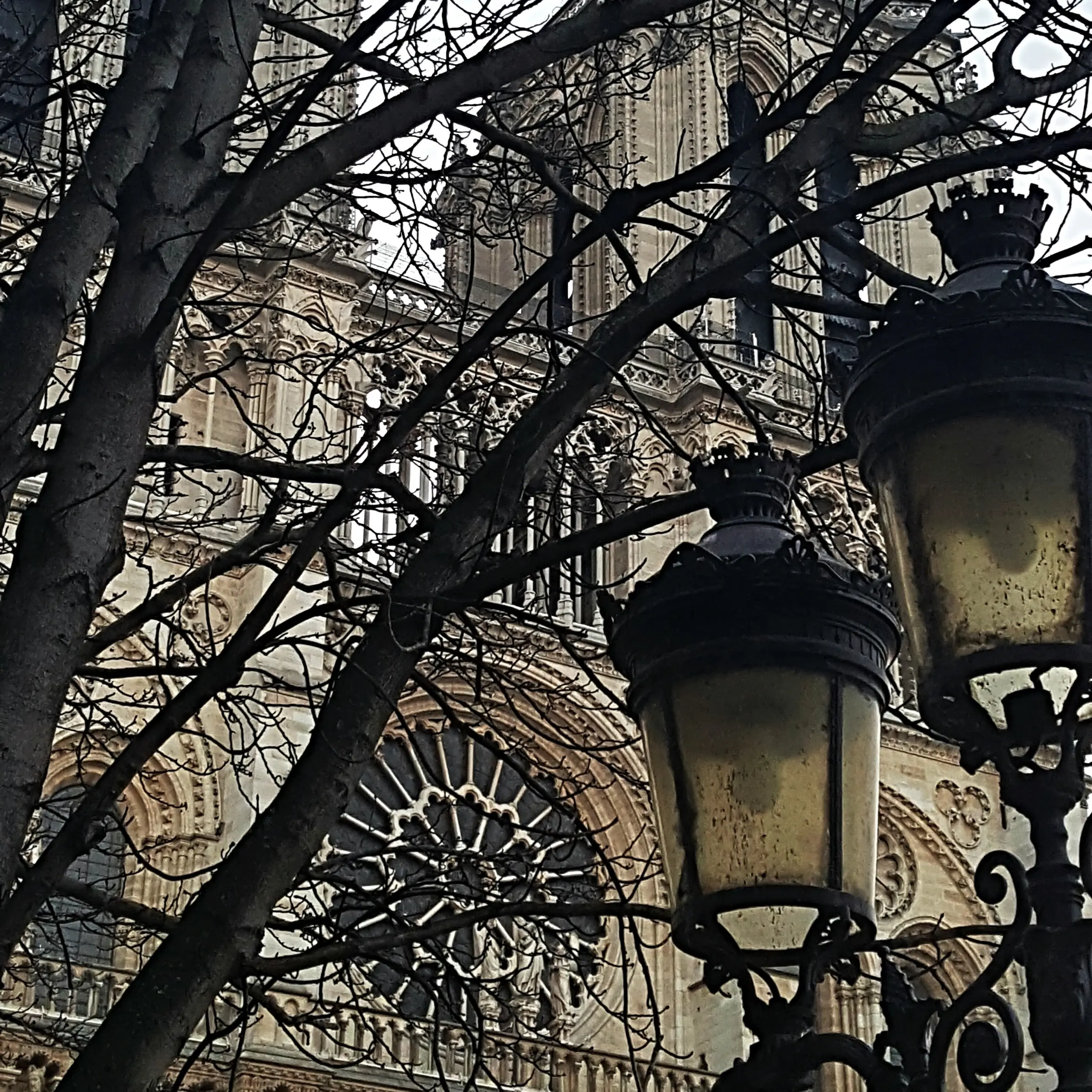 You are currently viewing Paris